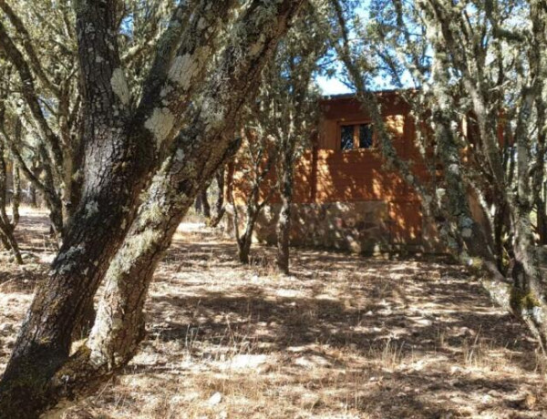 Venta de Hotel Ecológico (Ecolodge) en Parque Nacional.