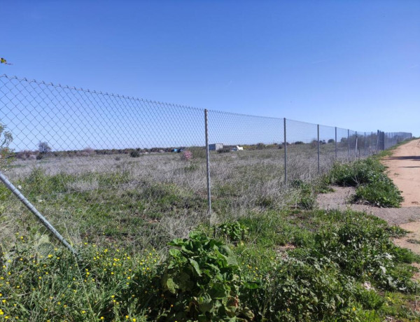 PARCELA VALLADA EN LA MEJOR ZONA DE BURGUILLOS