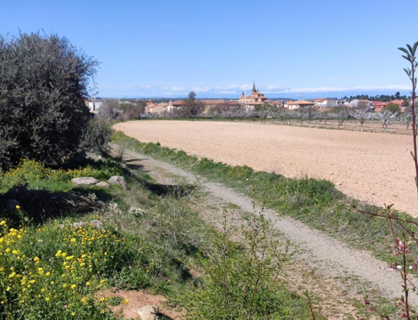 PARCELA VALLADA EN LA MEJOR ZONA DE BURGUILLOS