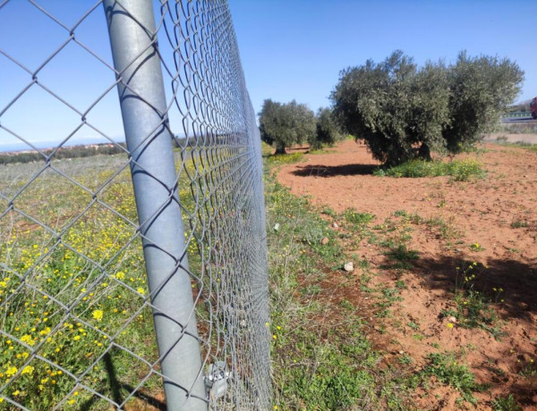 PARCELA VALLADA EN LA MEJOR ZONA DE BURGUILLOS