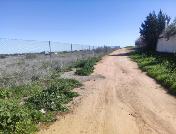 PARCELA VALLADA EN LA MEJOR ZONA DE BURGUILLOS