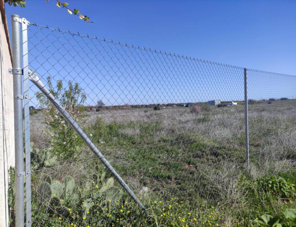 PARCELA VALLADA EN LA MEJOR ZONA DE BURGUILLOS