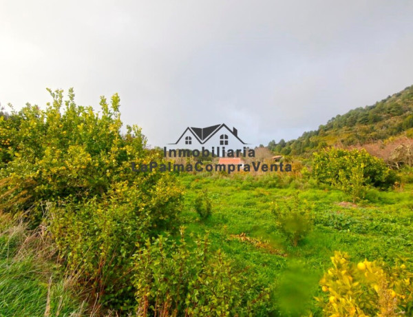 Casa-Chalet en Venta en Llano Negro Santa Cruz de Tenerife 