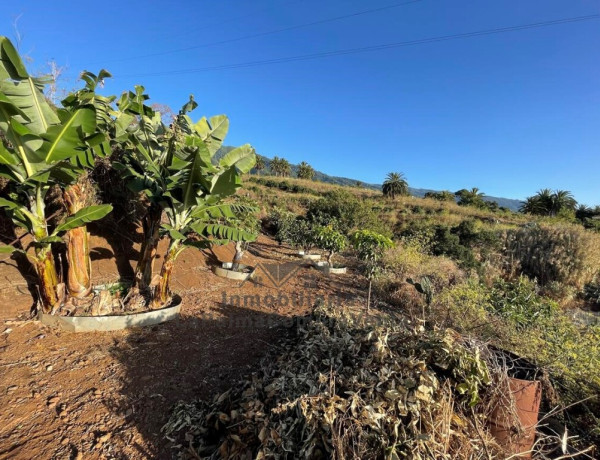 Casa-Chalet en Venta en Breña Alta Santa Cruz de Tenerife 