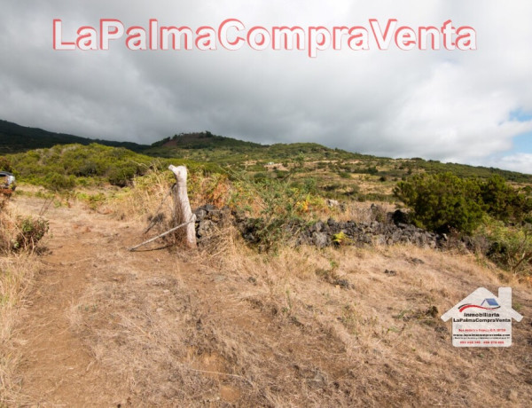 Suelo urbanizable en Venta en Villa De Mazo Santa Cruz de Tenerife 