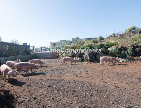 Suelo rústico en Venta en Lodero Santa Cruz de Tenerife 