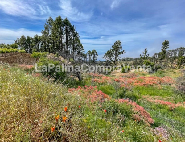 Suelo rústico en Venta en Garafia Santa Cruz de Tenerife 