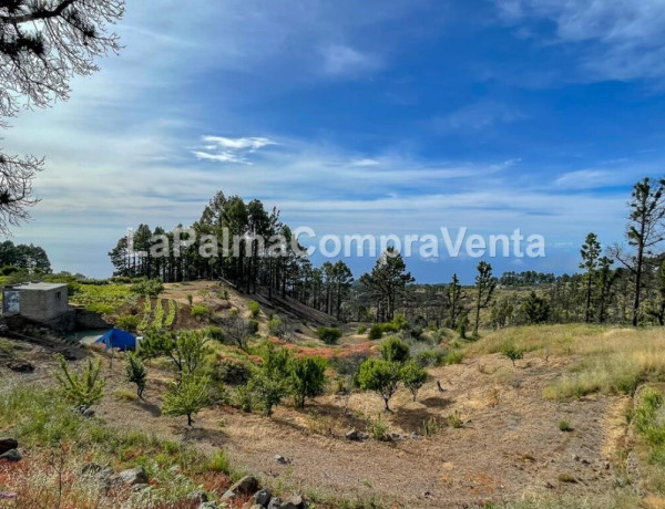 Suelo rústico en Venta en Garafia Santa Cruz de Tenerife 