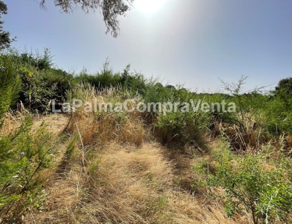 Suelo rústico en Venta en Roque Faro Santa Cruz de Tenerife 