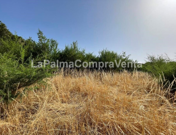 Suelo rústico en Venta en Roque Faro Santa Cruz de Tenerife 