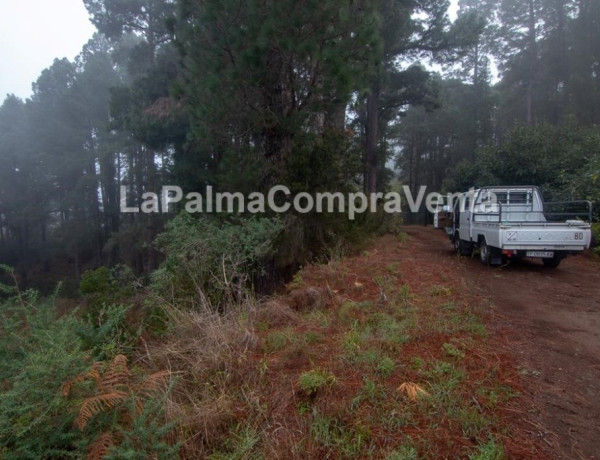 Suelo rústico en Venta en Roque Faro Santa Cruz de Tenerife 