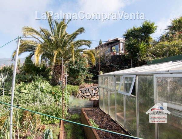 Casa-Chalet en Venta en Paso, El Santa Cruz de Tenerife