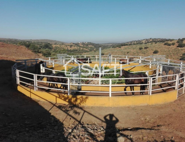 Plaza de toros, Badajoz (Extremadura) Venta de Fnca