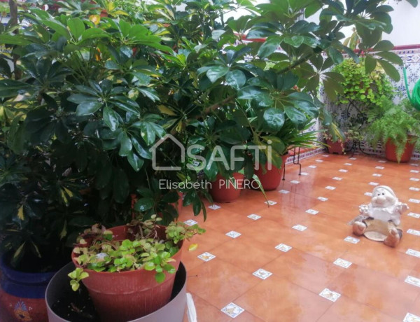 GRAN CASA AMUEBLADA EN PLANTA BAJA CON PATIO, TERRAZA Y GUARDILLA