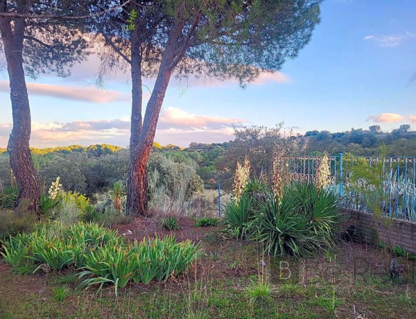 IMPRESIONANTE TERRENO DE 60 HECTÁREAS CON CASA RÚSTICA EN VALDEMORILLO, MADRID.