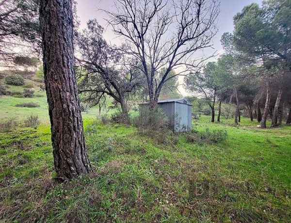 IMPRESIONANTE TERRENO DE 60 HECTÁREAS CON CASA RÚSTICA EN VALDEMORILLO, MADRID.