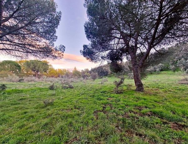 IMPRESIONANTE TERRENO DE 60 HECTÁREAS CON CASA RÚSTICA EN VALDEMORILLO, MADRID.