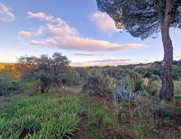 IMPRESIONANTE TERRENO DE 60 HECTÁREAS CON CASA RÚSTICA EN VALDEMORILLO, MADRID.