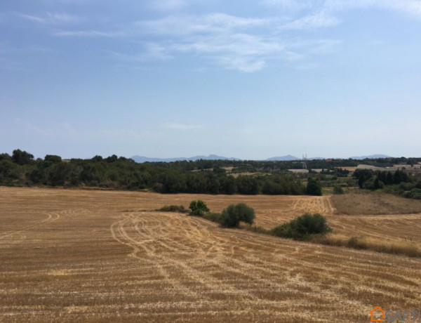 Terreno CON proyecto básico para construir en Muro