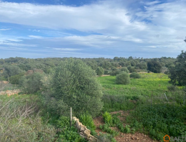 Casa en el campo entre Santanyí y Campos con vistas.