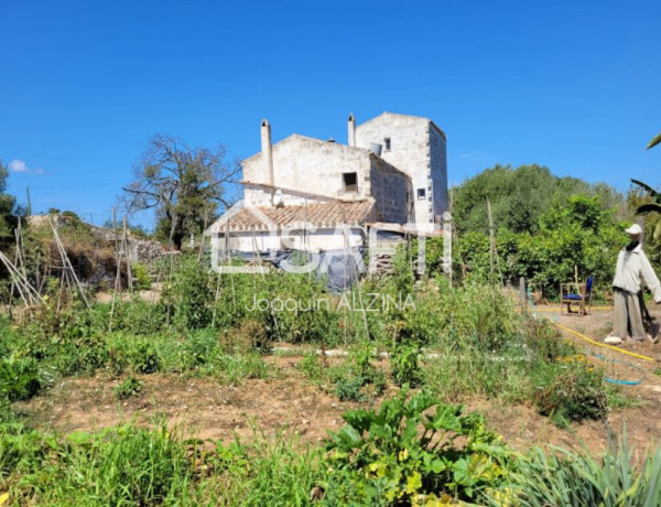 Finca rústica de 25.051m² de terreno en Mahón.