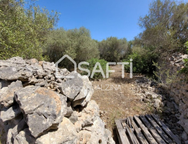 Finca rústica de 25.051m² de terreno en Mahón.