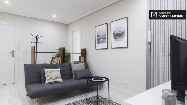 Habitación para alquilar en espacioso apartamento de 5 dormitorios en Indautxu