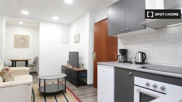 Piso de 1 dormitorio en alquiler en Huelin, Málaga