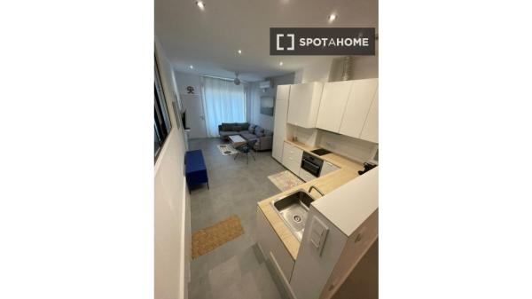 Apartamento de 2 dormitorios en alquiler en Raval Roig, Alicante