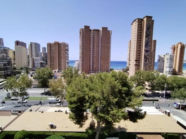 Estudio en Playa de Levante