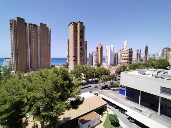 Estudio en Playa de Levante