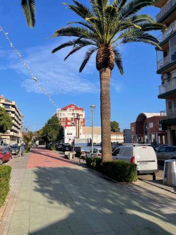 Piso en calle Pintor Llorens