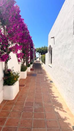 Chalet adosado en calle Teodoro Rojo