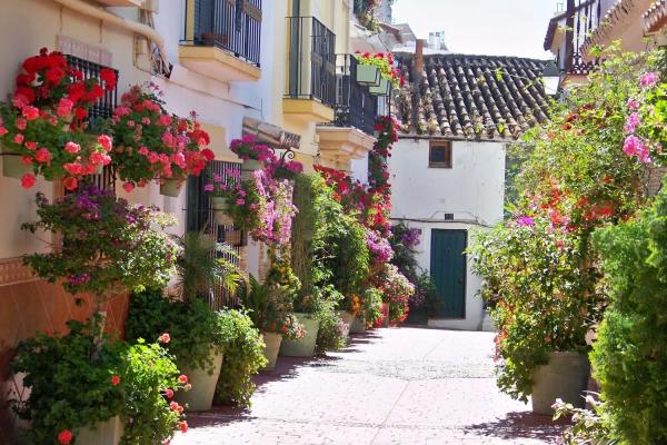 Chalet adosado en calle Cabo de Gata, 23