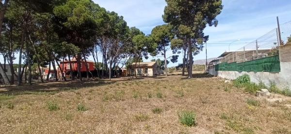 Casa independiente en avenida San Pascual Bailón, 38