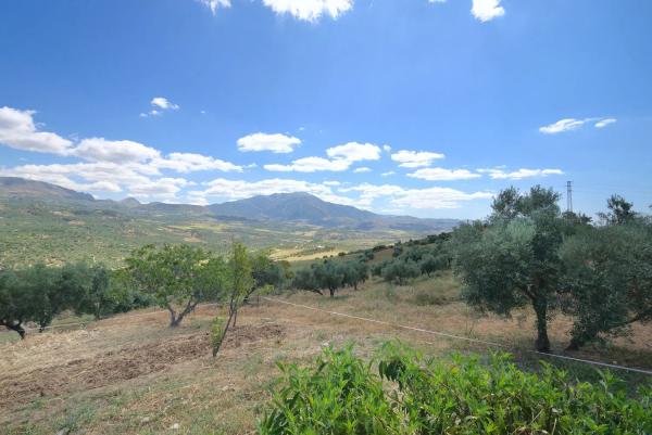 Casa independiente en camino del Algarrobal