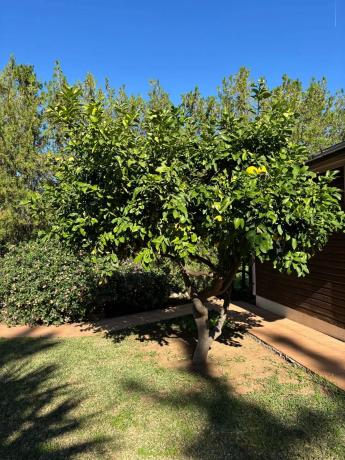 Casa independiente en Av De Los Reyes Catolicos, 76