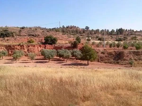 Terreno en Partida Umbria Baja de Algayat