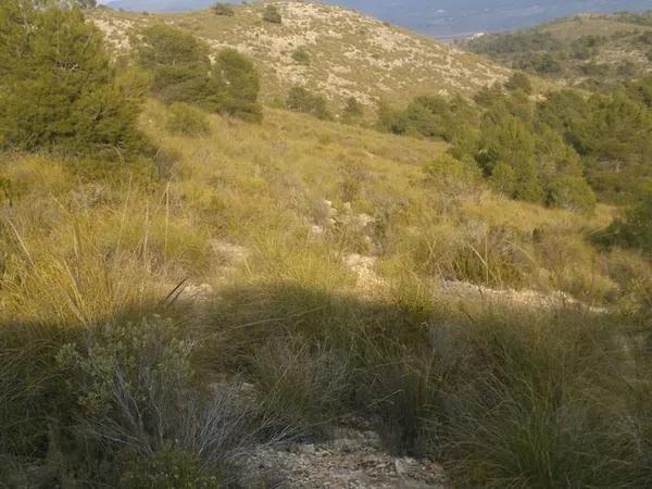 Terreno en sierra de la villa s/n