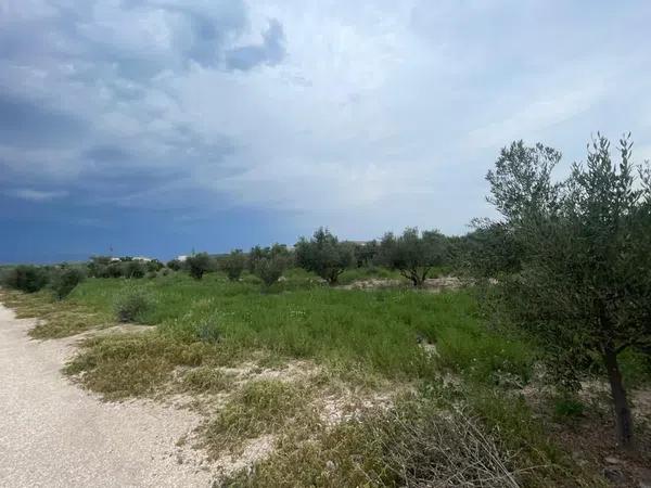 Terreno en Verada de Las Cebadas, 166