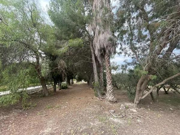 Terreno en Verada de Las Cebadas, 166