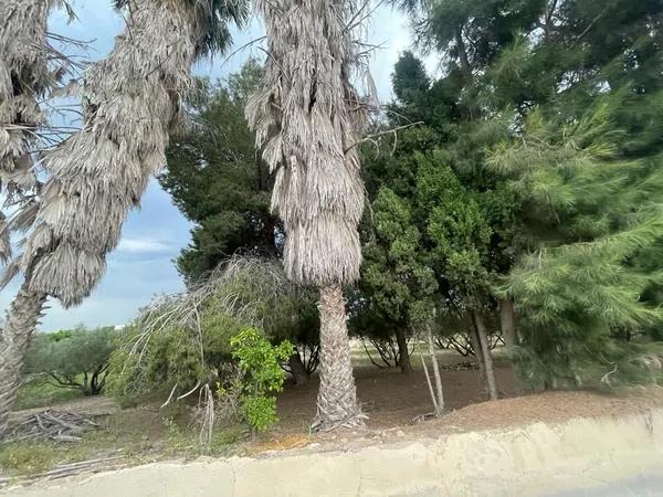 Terreno en Verada de Las Cebadas, 166