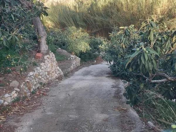 Terreno en Callosa d'En Sarria