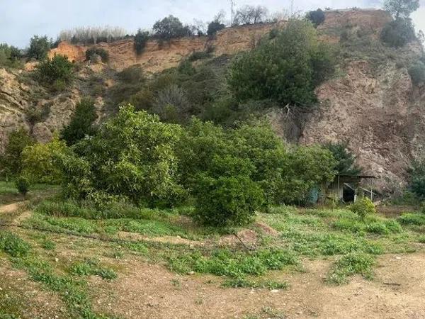 Terreno en Callosa d'En Sarria