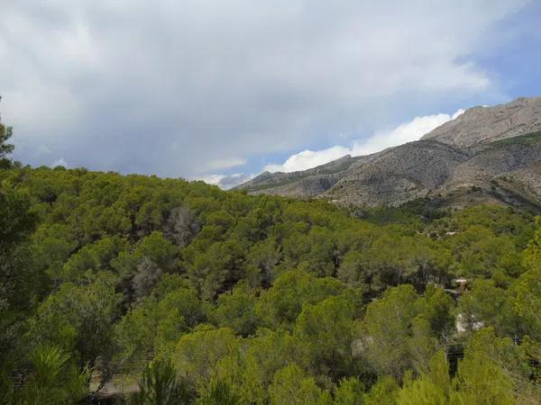 Terreno en Altea la Vella