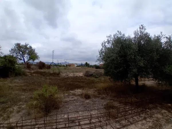 Terreno en vereda Virgen del Camino, 1