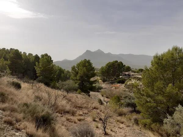 Terreno en Castillo, 78