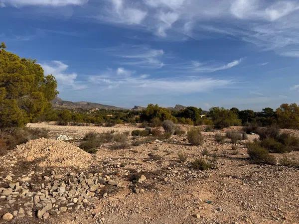 Terreno en Crevillente