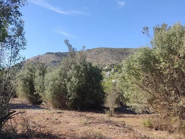 Terreno en Alcalalí