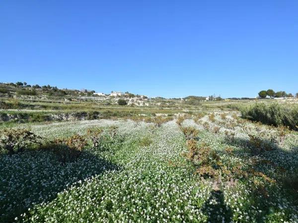 Terreno en Teulada